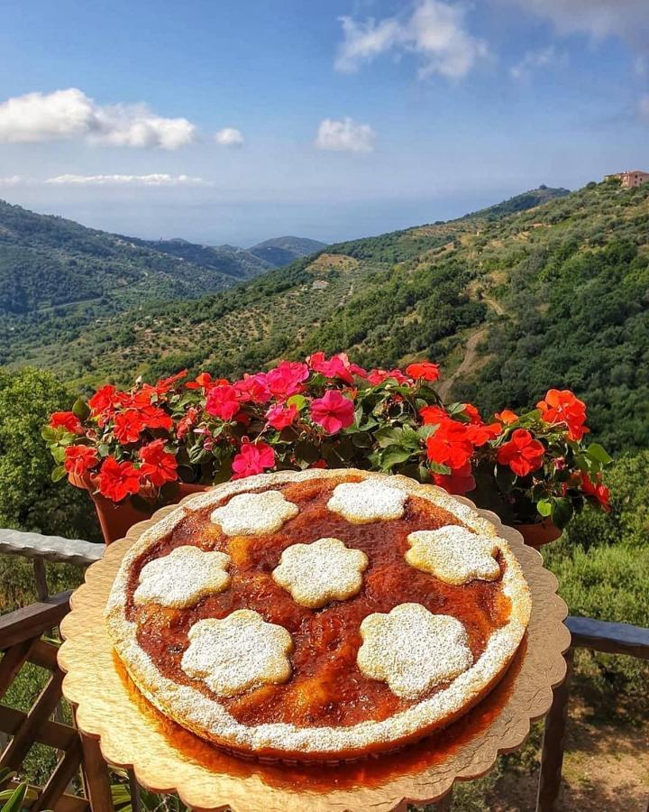 Villa Bernadette San Mauro Cilento Eksteriør bilde